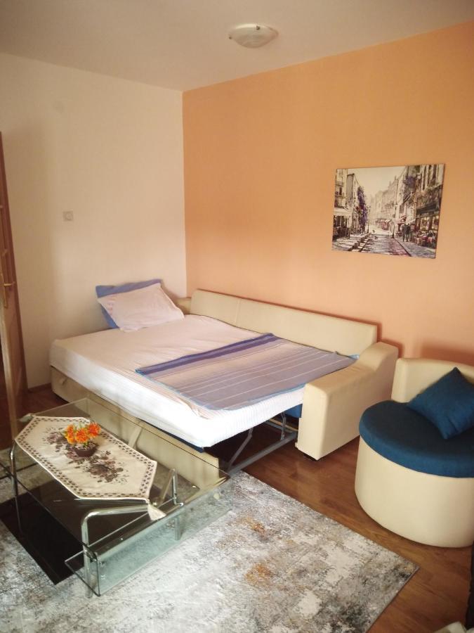 Apartman Ozi Petrovac na moru Exterior foto