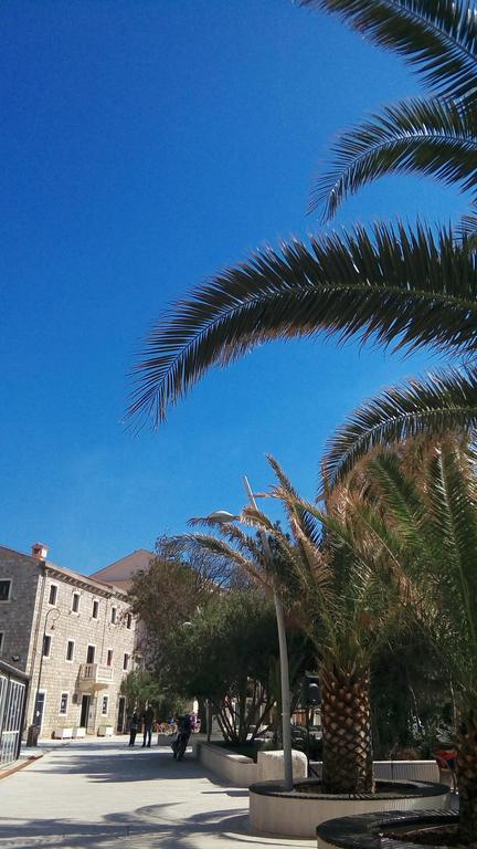 Apartman Ozi Petrovac na moru Exterior foto