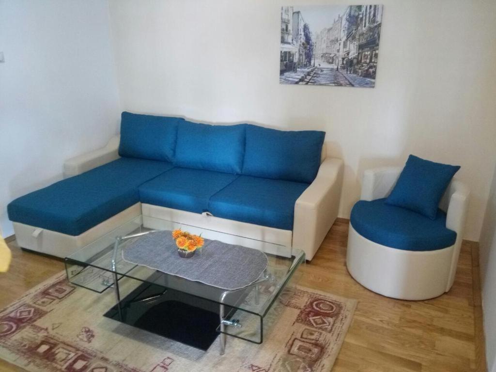 Apartman Ozi Petrovac na moru Exterior foto